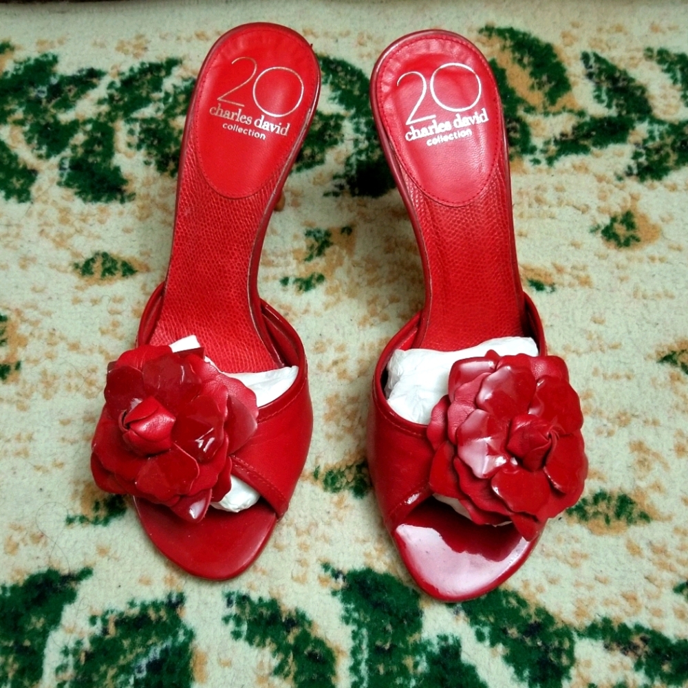 Charles David 20 year collection slip on